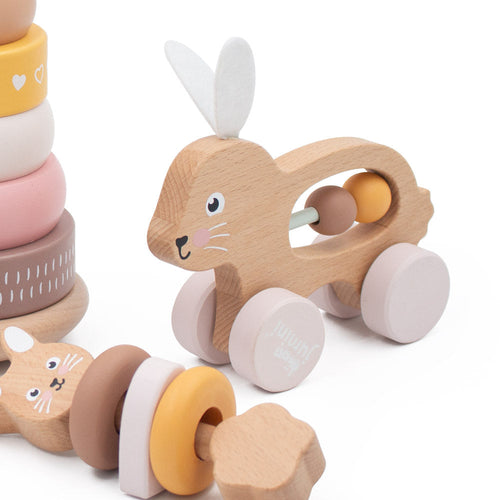 Bunny Push-Along Maze