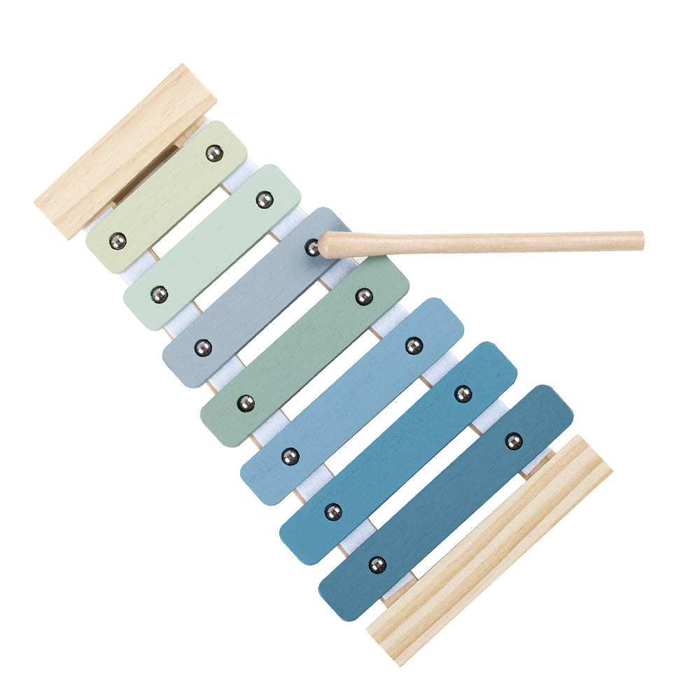 Blue Wooden Xylophone