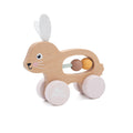 Bunny Push-Along Maze