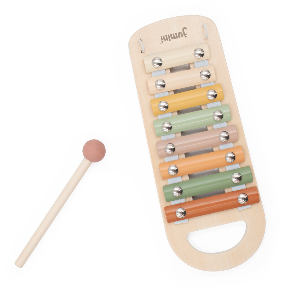 Wooden Toy Xylophone